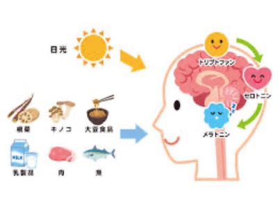 IMG_1517.jpeg 400��300 36K